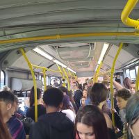 Urgente: terminais de ônibus da Fazenda e Cordeiros terão mudanças a partir de hoje  