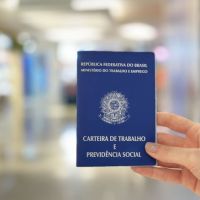 BC tem mais de 560 vagas de emprego abertas; confira 