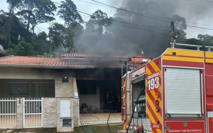 Homem teria prendido os gatos em um quarto  
(Foto: Divulgação)