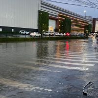 Choveu quase 40mm só nesta quinta em BC; defesa Civil alerta para alagamentos em Itajaí 