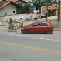 Ciclista é atropelado no acostamento de rodovia 