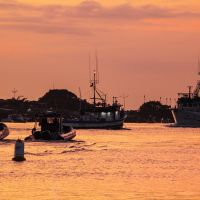 Itajaí ganha oficialmente o título de Capital Nacional da Pesca