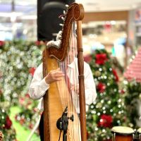 Itajaí Shopping terá apresentações de Natal 