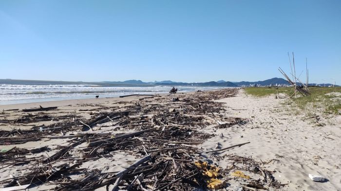 Sujeira foi trazida pelo rio Itajaí-açu no feriado 

(Foto: Leitor)