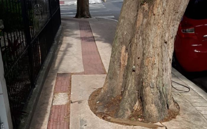 Projeto para padronizar passeios públicos estava em tramitação desde 2021
(foto: leitor)