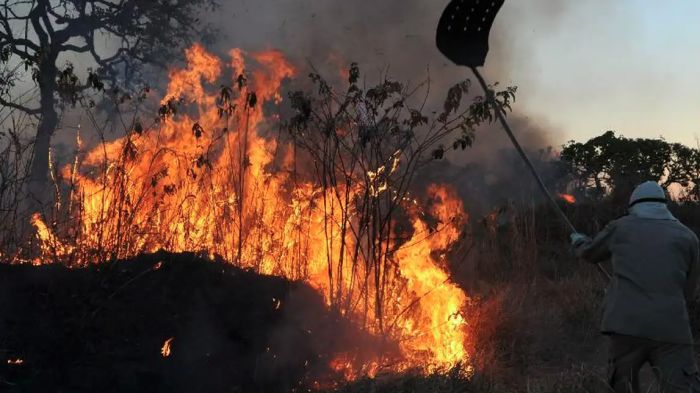 (Foto: Arquivo Valter Campanato/Agencia Brasil)