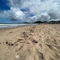 Praia Central de BC e todas as praias de Itajaí e Navegantes estão poluídas 