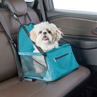 Check-list para levar seu  pet em viagens de carro