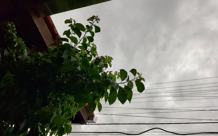 Chuvas devem rolar em vários momentos do dia no decorrer da semana
 (Foto: Franciele Marcon)