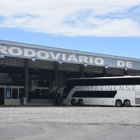 Protetora desmente que rodoviária acolheu cachorrinha abandonada e cobra medidas do terminal 