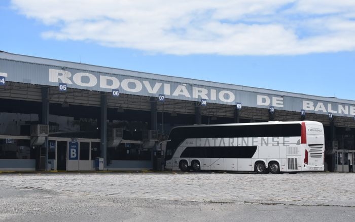 Protetoras cobram medidas da rodoviária contra os frequentes casos de abandono (Foto: Arquivo)