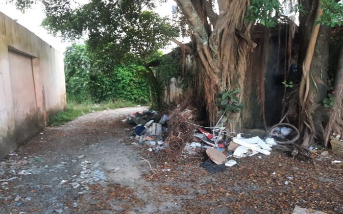 Vizinhança se preocupa com segurança da região e chance de focos de dengue (Fotos: Leitor)