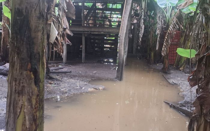   Água represada alaga ruas e terrenos e pode causar criadouros de mosquito da dengue (Foto: Leitor)