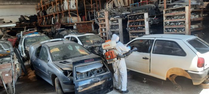 Itajaí vive epidemia de dengue (Foto: Divulgação)