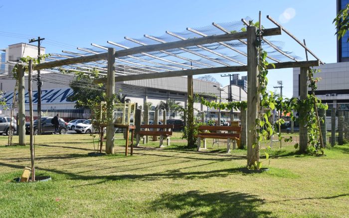 Voluntário transformaram o terreno árido em uma área verde (Foto: Arquivo)