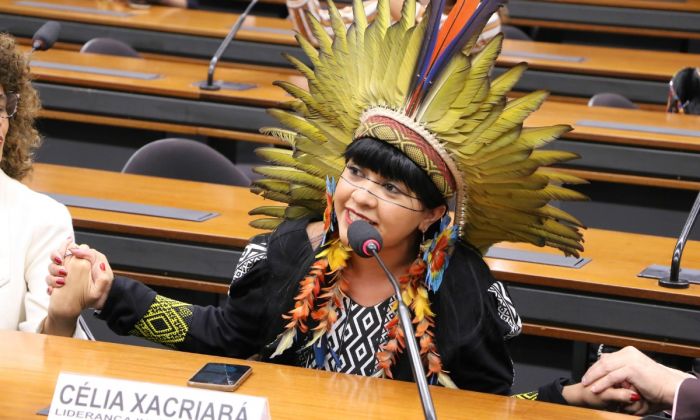 Tribunal ainda decidirá se medida valerá já para as eleições municipais deste ano (Foto: Câmara dos Deputados/Divulgação)