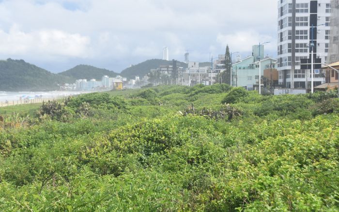 Projeto de lei segue agora para a sanção do prefeito Volnei Morastoni (Foto: João Batista)