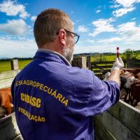 Cidasc vai lançar concurso pra médico veterinário 