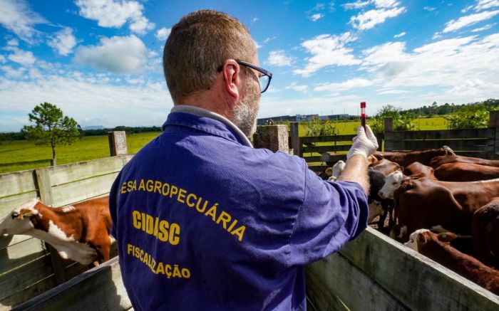 São 20 vagas com remuneração de R$ 7,6 mil
(Foto: Divulgação)