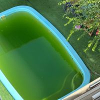 Piscina suja e abandonada revolta moradores do São Vicente