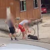 Vídeo flagra dono espancando dog em frente de casa 