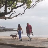 Moradores denunciam há três anos vizinho que anda com pitbulls soltos na praia