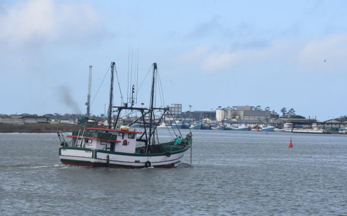 Safra da tainha para barcos industrias inicia dia 1º de junho 
 (Foto: João Batista)