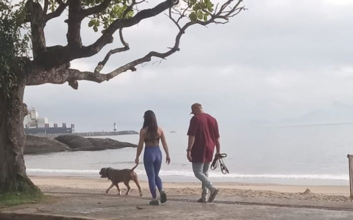 Homem é flagrado diariamente andando com cães soltos na areia da praia 
(Foto: Reprodução)