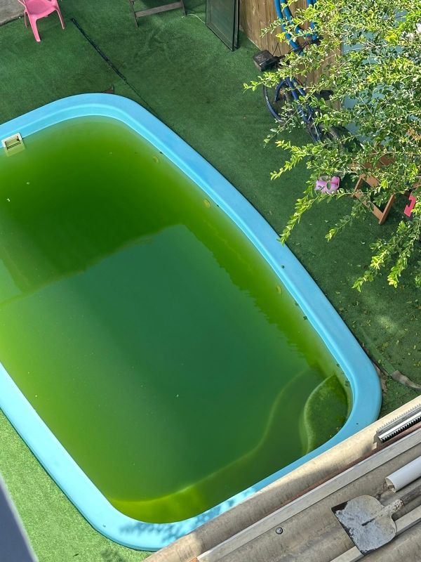 Agentes da prefeitura vão checar denúncia de piscina sujona na rua Olavo Bilac (foto: leitor)