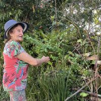 Jardim de dona Aurita iniciou quando a praia dos Amores era  bairro “alternativo”