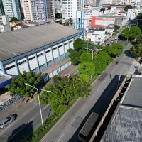 Qual a sua opinião sobre o sacrifício das árvores  da Marcos Konder para uma nova avenida?