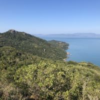 Desmatamento da Mata Atlântica cai em áreas de Santa Catarina