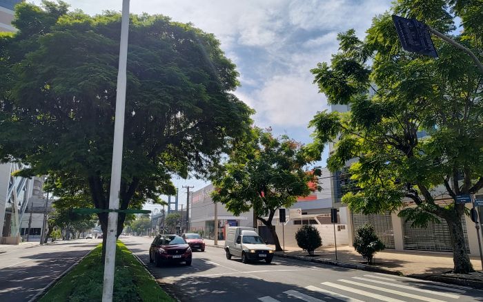 Parte das vagas de estacionamento da avenida deixarão de existir  (Foto: Franciele Marcon)