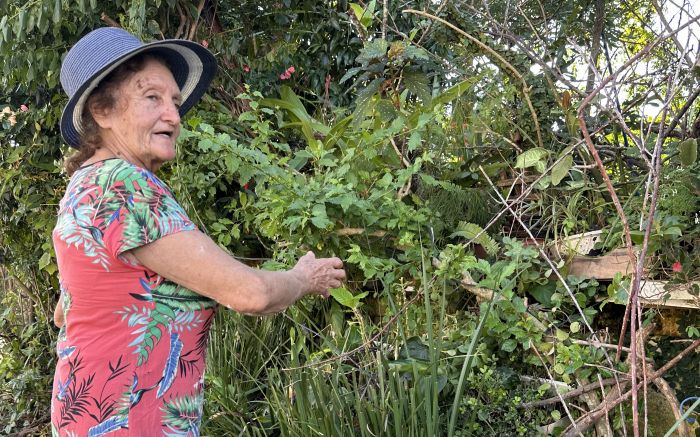 Tudo foi plantado pela moradora que chegou ao bairro em 1994