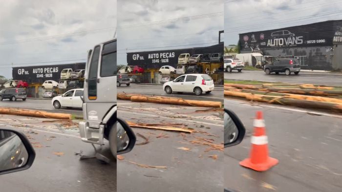 Acidente foi no km 115 e deixou pista bloqueada até as 8h50 (Foto: Reprodução/Leitor)