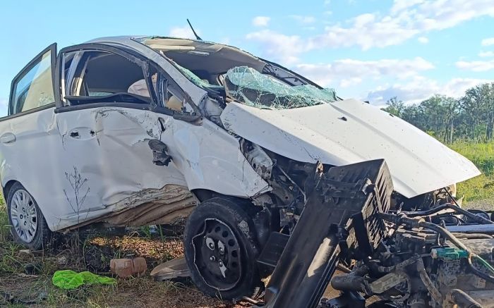 Carro atingiu pilar do viaduto (Foto: Divulgação CBVI)