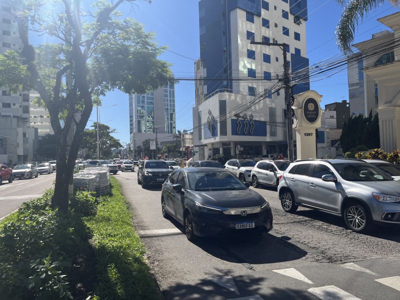 Das 70 árvores do canteiro central, só 38 serão transplantadas