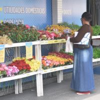 SC é um dos estados com menos “liberdade para trabalhar”