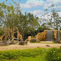 MP pede explicações sobre sigilo da doação de animais do zoo do Beto Carrero