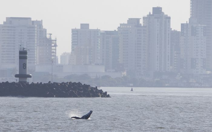 A dupla foi vista na tarde de quarta-feira 
(Foto: Felipe Varanda)