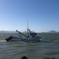 Itajaí e Navegantes são destaque nacional na produção de pescados 