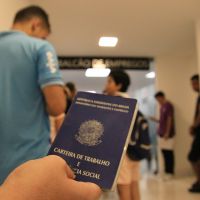 Itajaí tem mutirão  hoje com 200 vagas de supermercados; veja como participar 