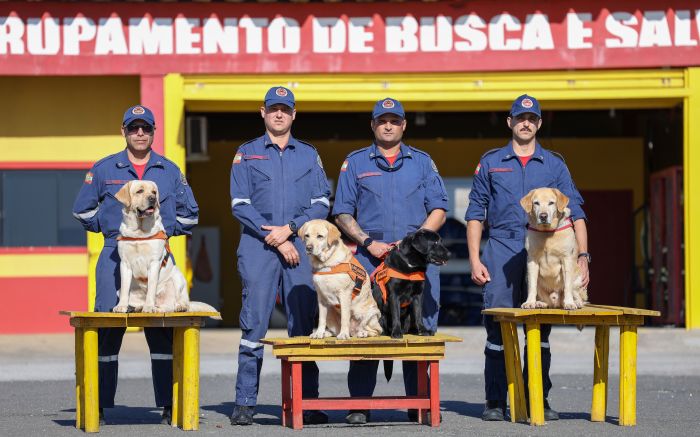 Moana, Ilha, Nick e Marley aperfeiçoaram suas técnicas de busca e salvamento (Foto: Leo Munhoz / SECOM)