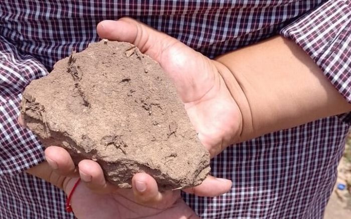 Uma pedra também foi arremessada contra a vítima (Ilustrativa)