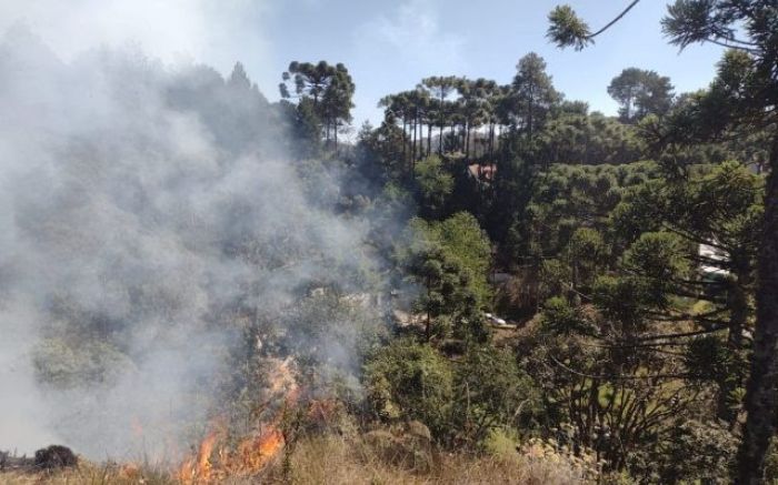 Foco de incêndio próximo a rodovia presidente Castelo Branco em São Paulo; 48 municípios estão em alerta máximo por conta das queimadas (Agência São Paulo Governo do Estado de SP)