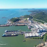 Canal portuário de Itajaí está há dois meses sem dragagem  