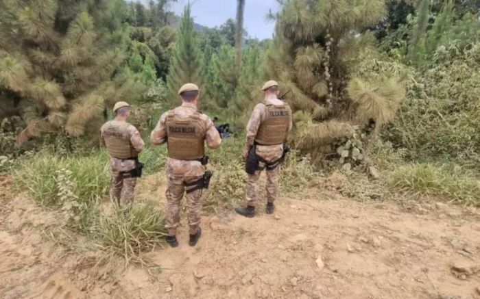 Um roçador limpava o terreno quando encontrou os corpos em decomposição

(Foto: Divulgação/PMSC)