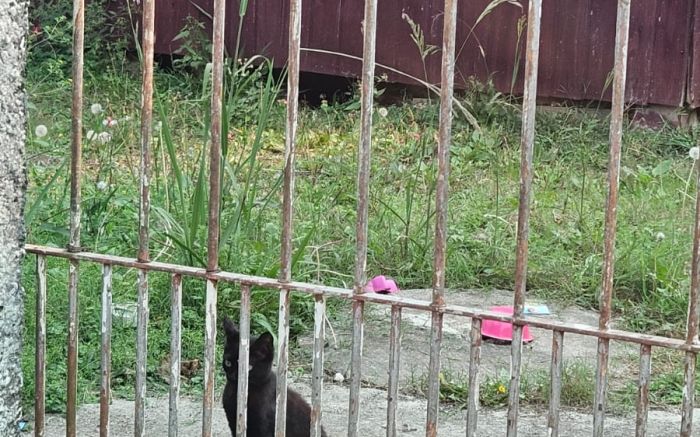 Moradores do São João estão preocupados com família que sofre com doenças mentais

(Foto: Leitor)