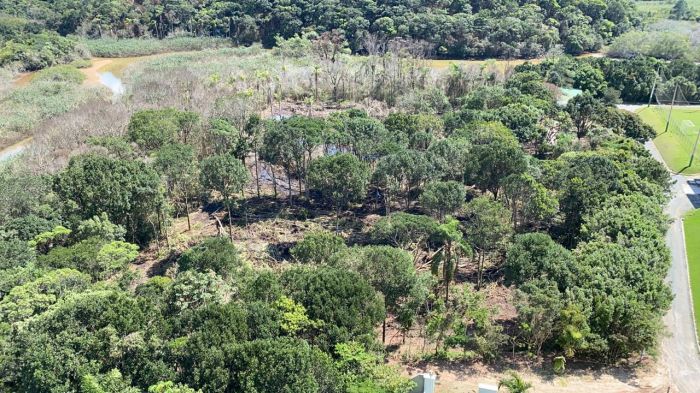 Clube deve reparar danos ambientais e pagar indenização (Foto: Arquivo)