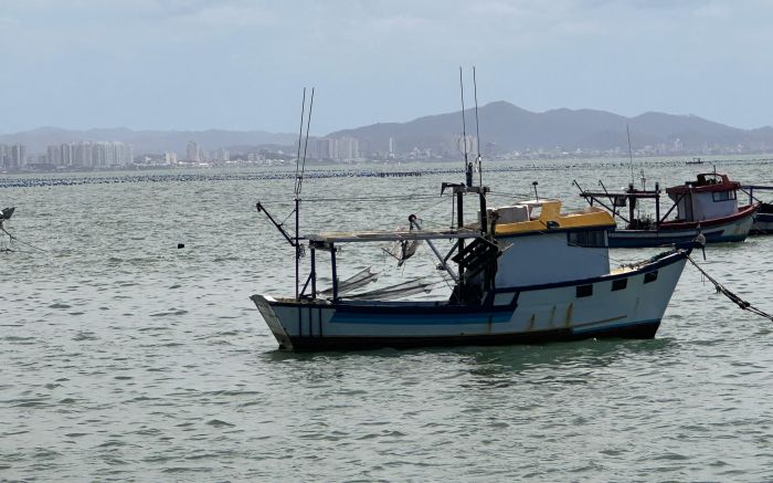 Área na Penha foi liberada na sexta-feira pela Cidasc (Foto: Da Redação)